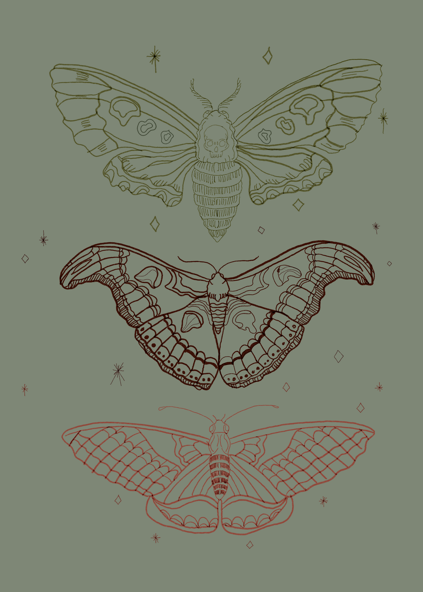 Skull Moth Print