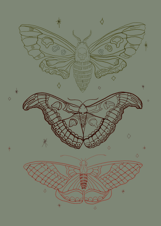 Skull Moth Print